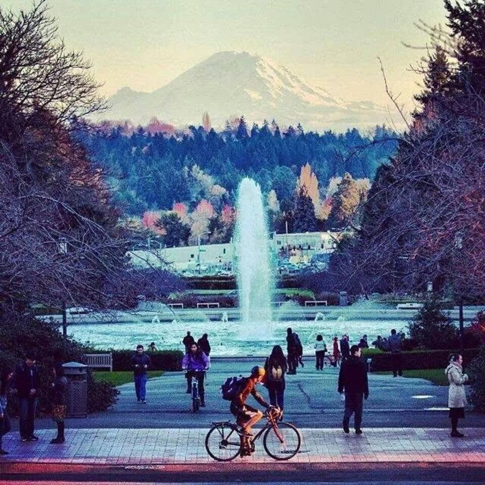 A-seattle Urban Village- Gu